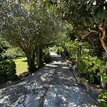 Holiday home Vincenzo Di Meglio Barano d'Ischia