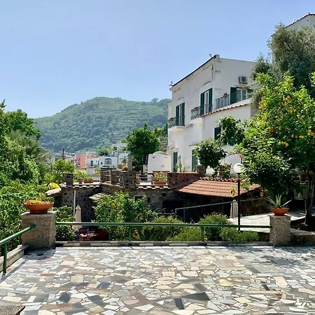 Vincenzo Di Meglio * Barano dʼIschia