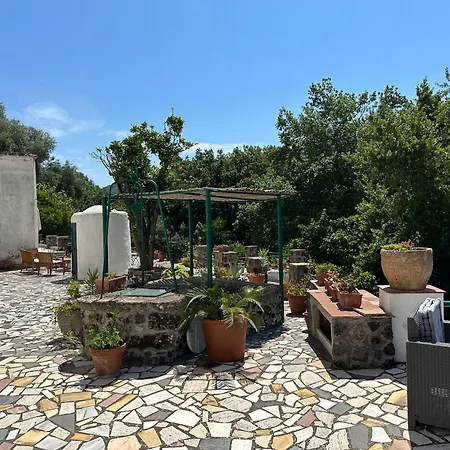 Holiday home Vincenzo Di Meglio *