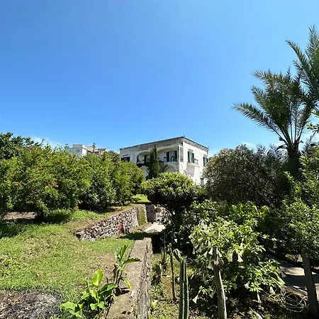 Vincenzo Di Meglio Barano d'Ischia