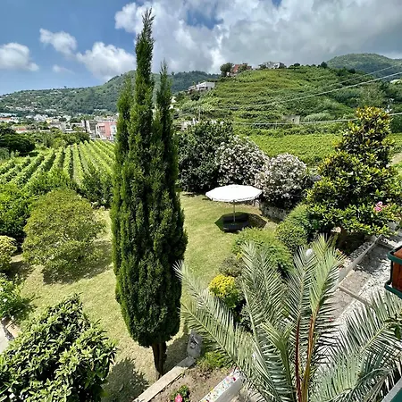Vincenzo Di Meglio Barano dʼIschia