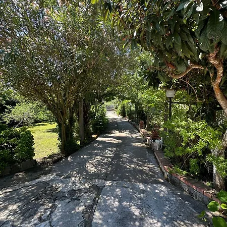 Prázdninový dům Vincenzo Di Meglio Barano dʼIschia